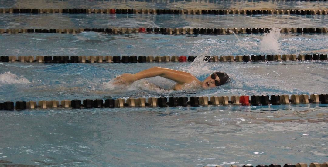 Shelbyville swimmers close out season with state appearance